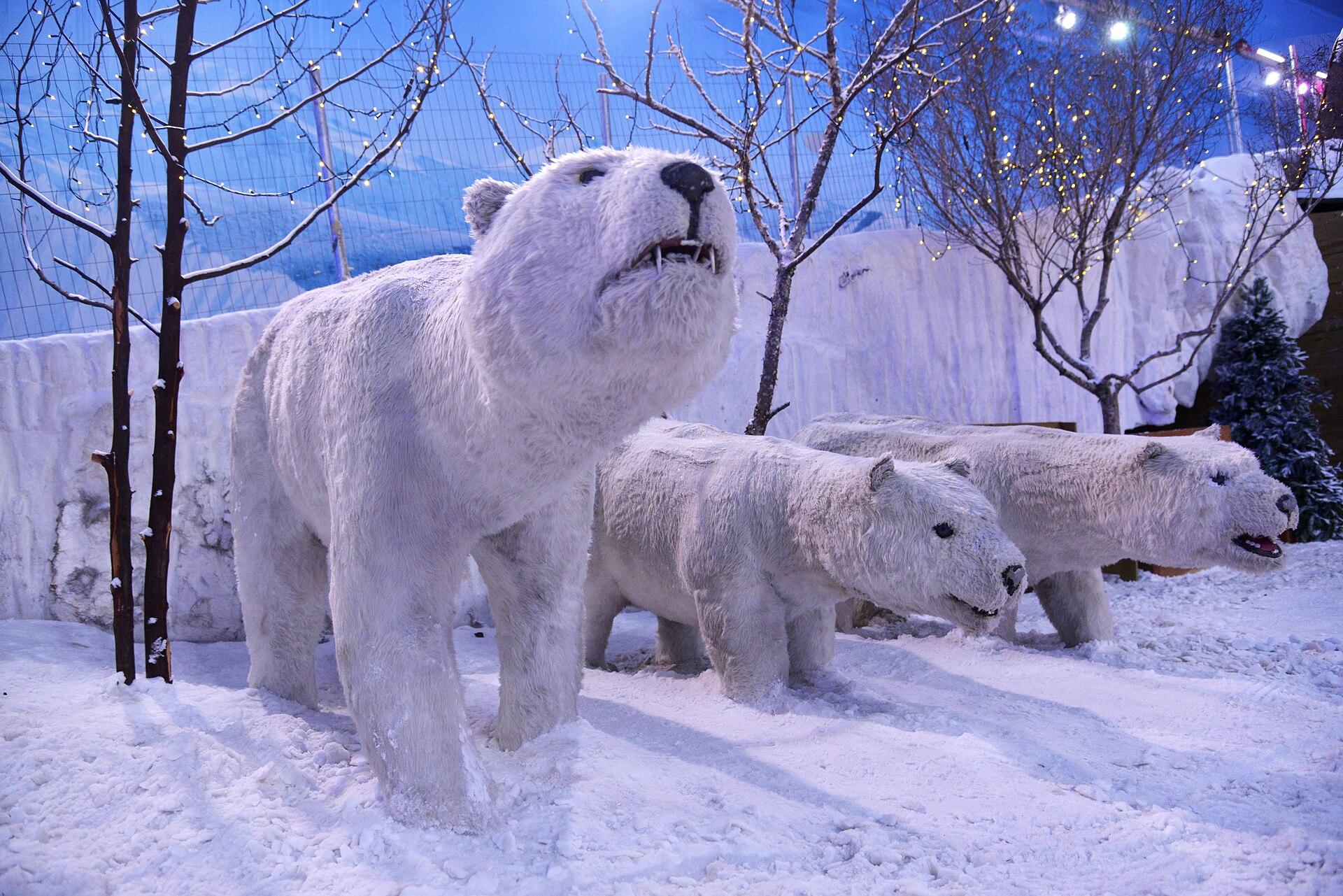 Snowland