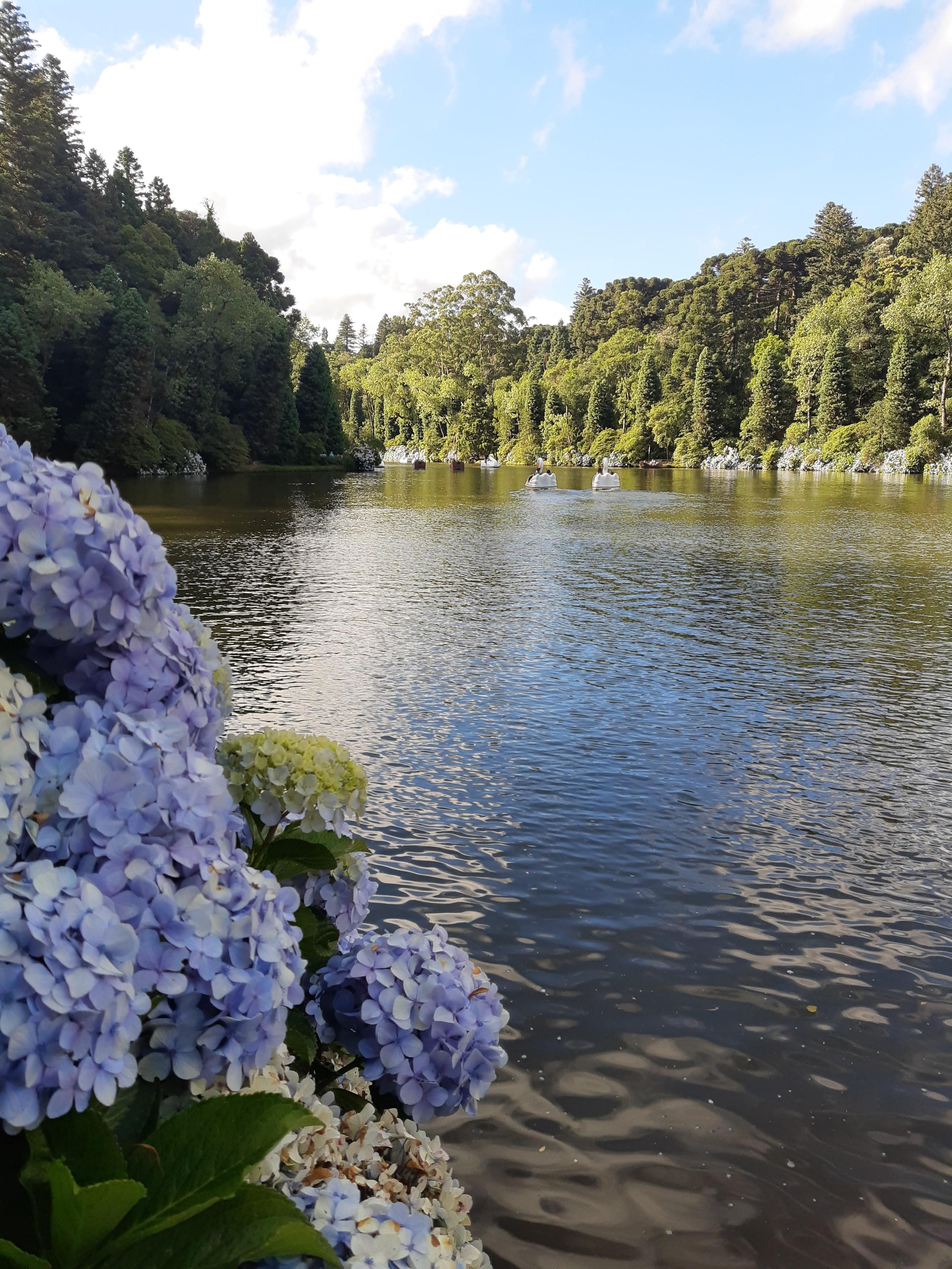 Lago Negro